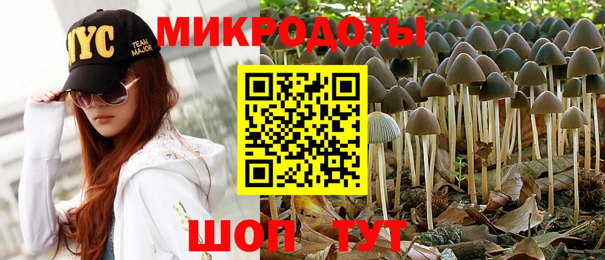 как найти закладки  Галлюциногенные грибы MAGIC MUSHROOMS  Вход с VPN  Большой Камень  Псилоцибиновые грибы мицелий 